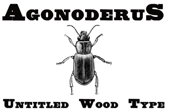 Download Untitled Wood Type - Premium Resources