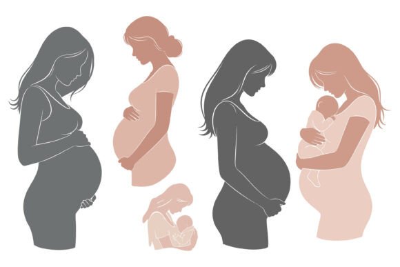 Download Maternity Stages a Visual Representation - Representation Collection