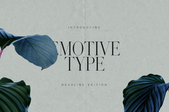 Download Emotive Type - Premium Resources